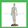 Human Acupuncture Points Model,19" Woman Body Model